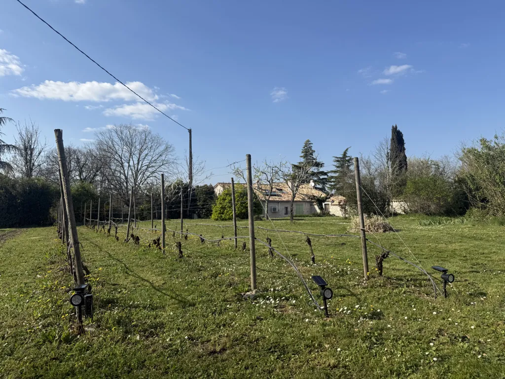 Jardin - Domaine Éco-Responsable avec Activité Locative à Bourg-de-Visa