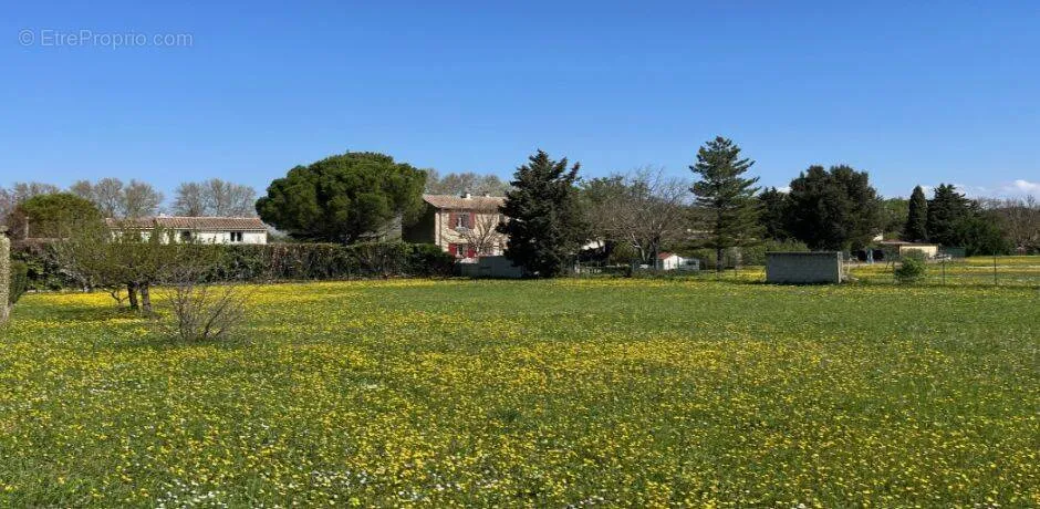 Jardin - Terrain à Pernes-Les-Fontaines