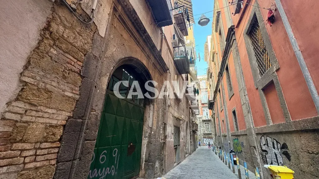 Jardin - Restored Apartment in Historic Centre, Naples