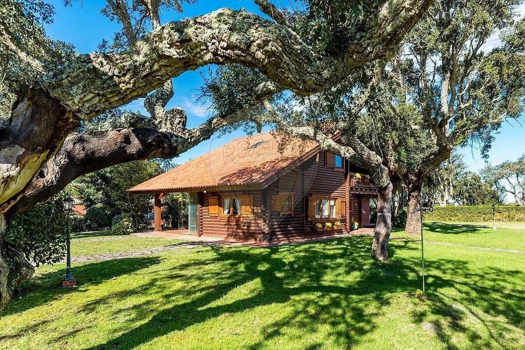 Jardin - Luxury Villa in Palmela, Setúbal