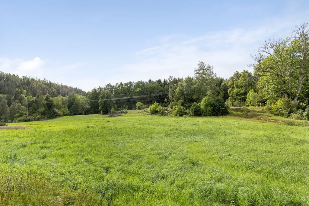 Aed - Unbuilt Plot with Forest in Östergötland