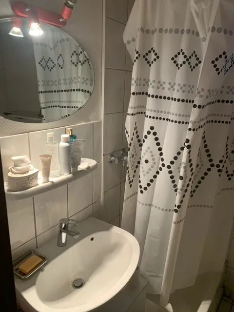 Bathrooms - Studio with Courtyard in Strasbourg's Krutenau
