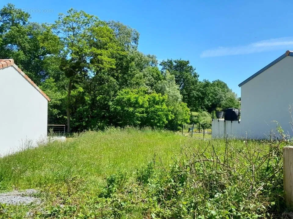 Aed - Buildable Plot with Garden near Nantes