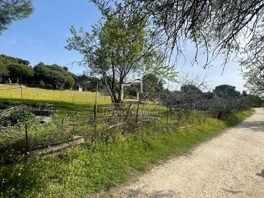Jardin - Plot with Garden in Majadahonda