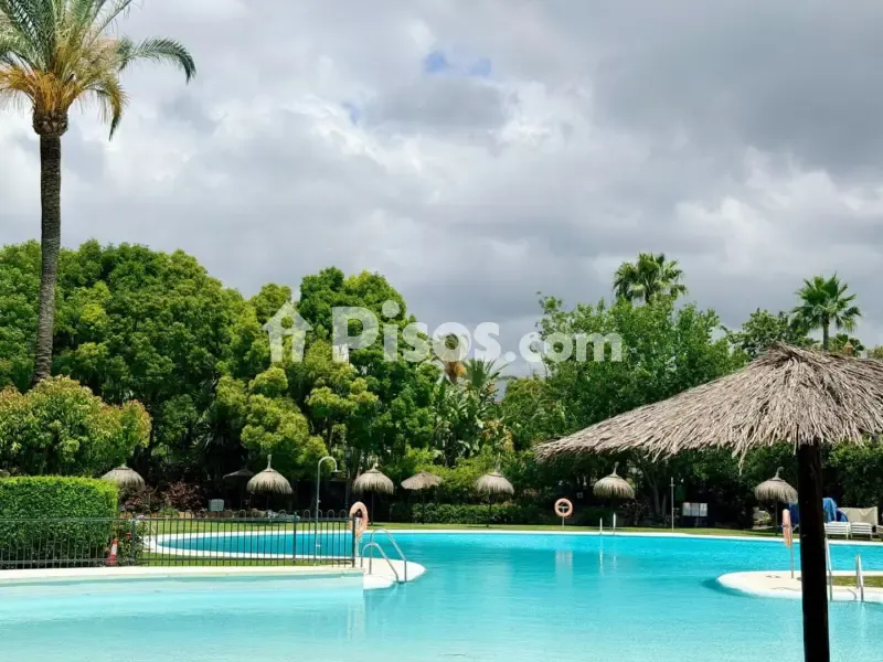 Piscina - Apartment with Pool in La Dama de Noche, Marbella