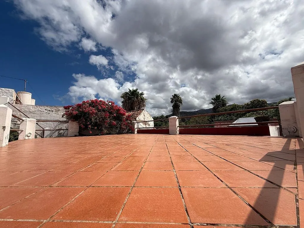 terrace_patio