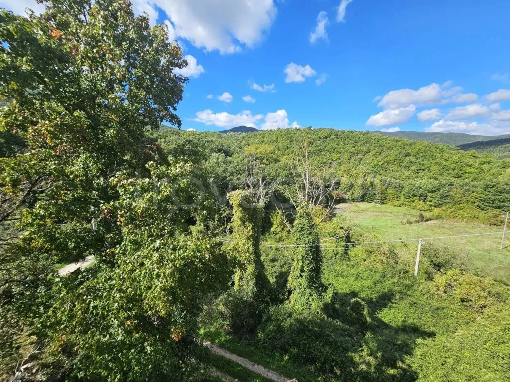 Jardin - Panoramic Apartment with Garden in Lisciano Niccone