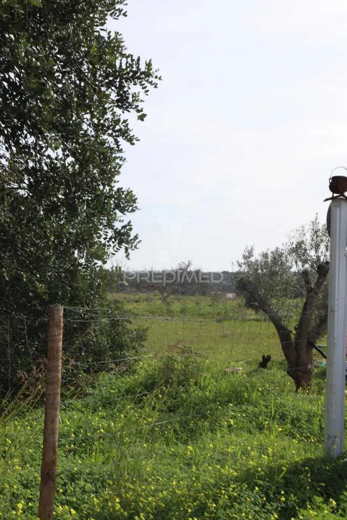 Jardin - Agricultural Land with Fruit Trees in Albufeira