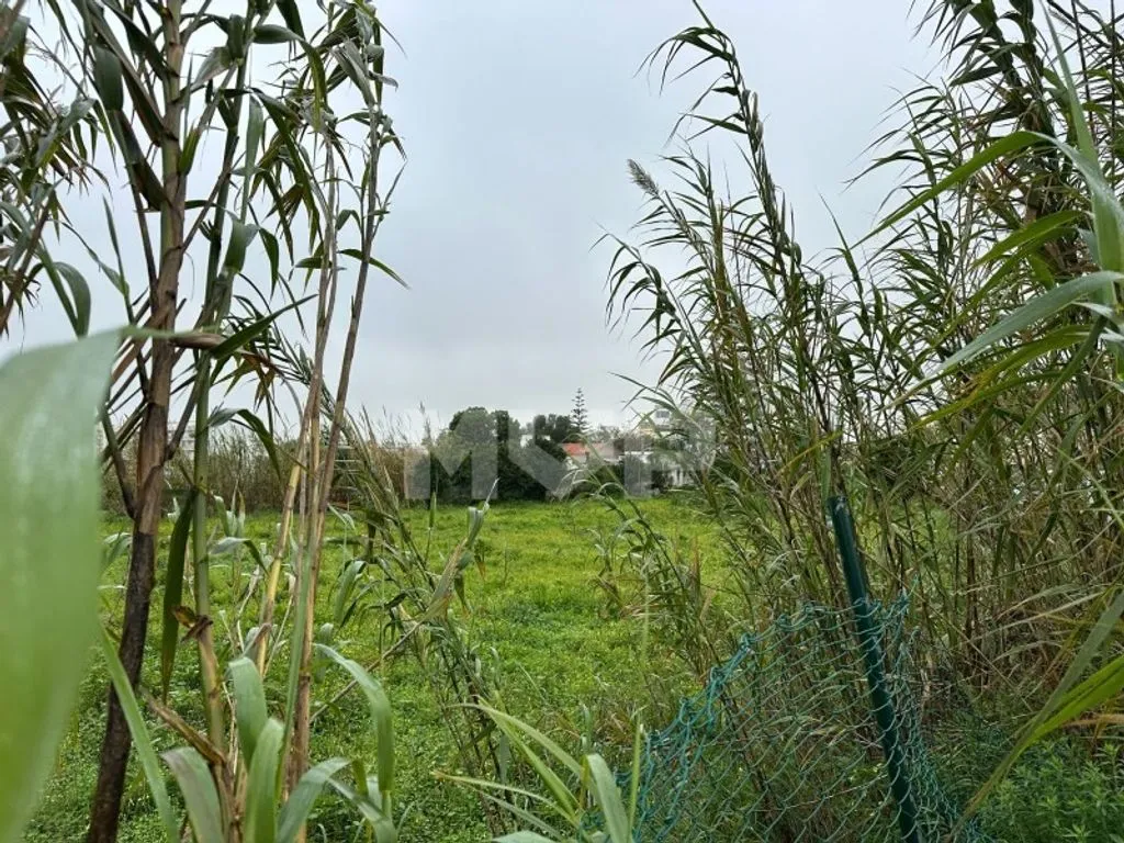 Jardin - Building Land Near Future Park in Olhão