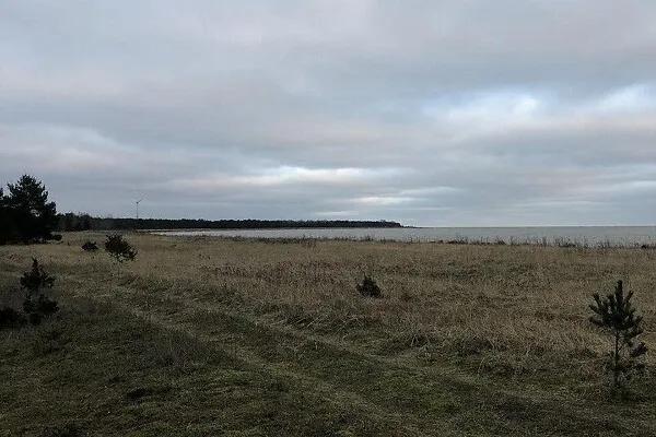 Jardin - Terrain à Saaremaa vald