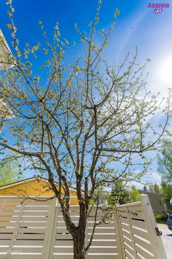 Jardin - Modernised Apartment with Sauna in Emola, Mikkeli
