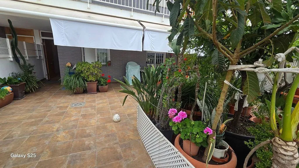 terrace_patio