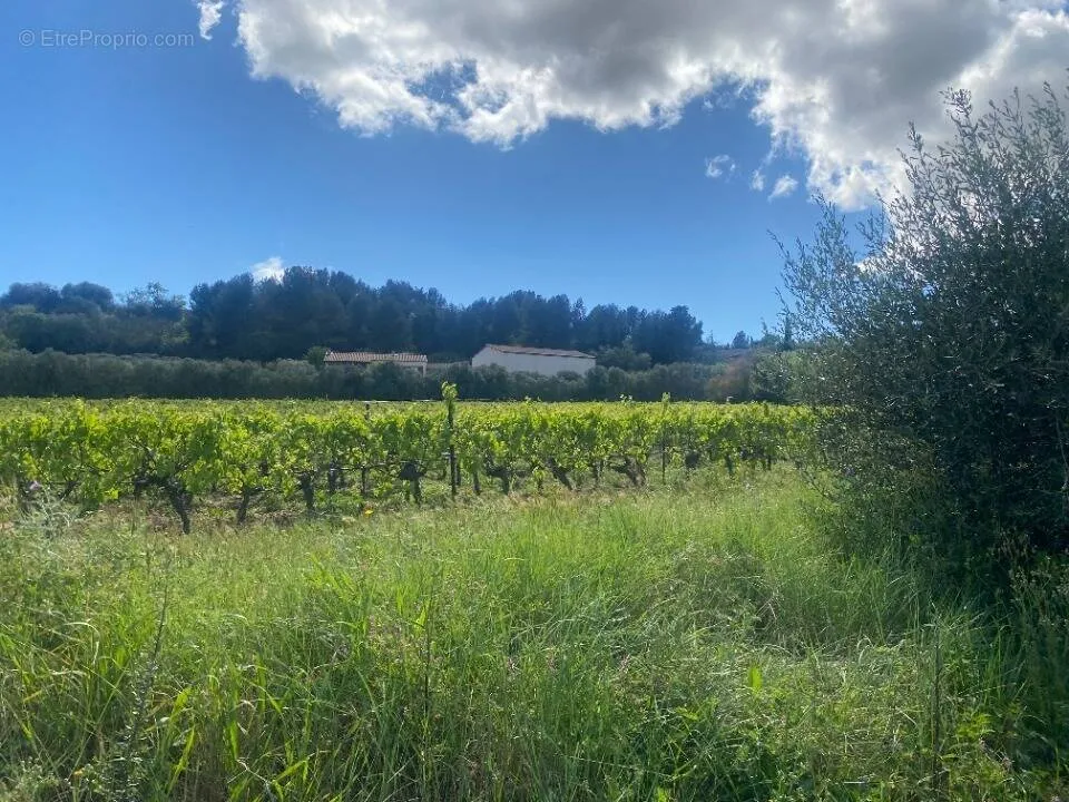 Aed - Buildable Plot with Garden in Ginestas