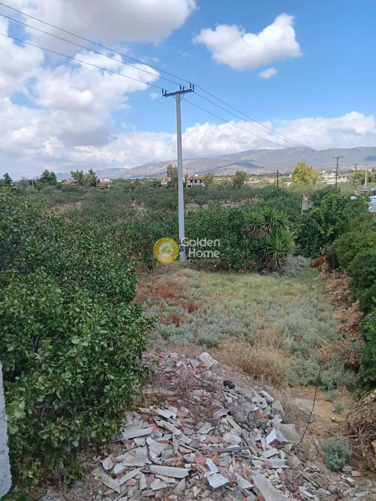 Aed - Agrarian Plot with Sea View in Nea Peramos