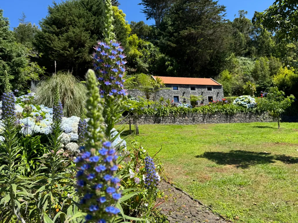 garden