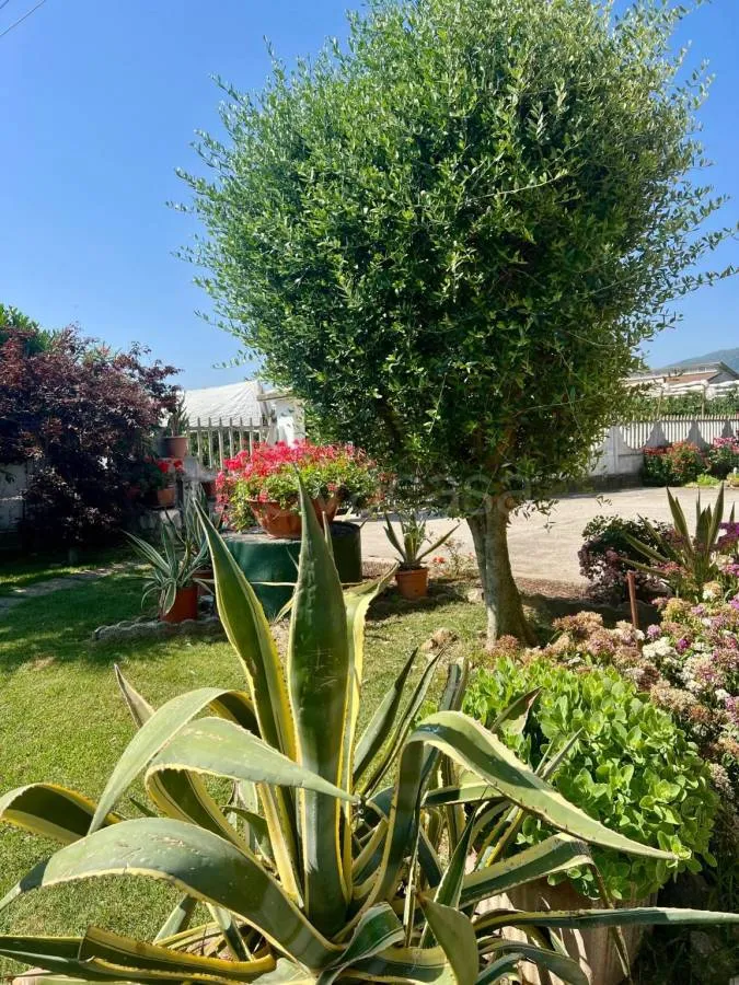 Jardin - Villa with Private Garden in Costigliole Saluzzo