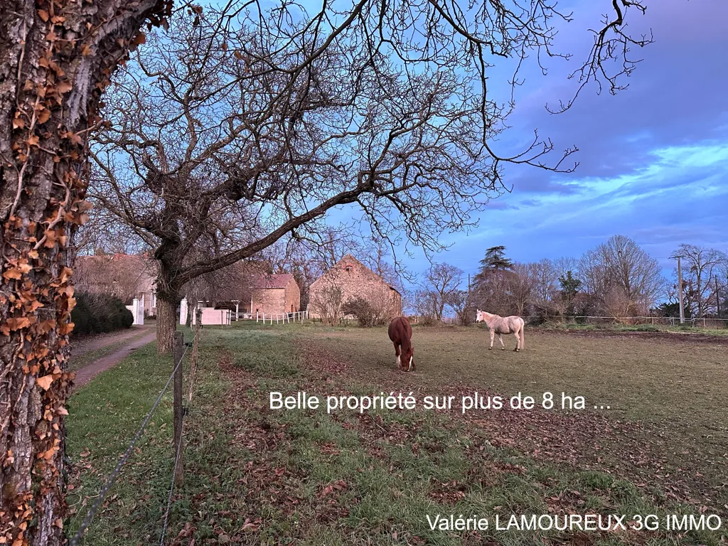 Aed - Equestrian Property with Large Garden in Aigueperse