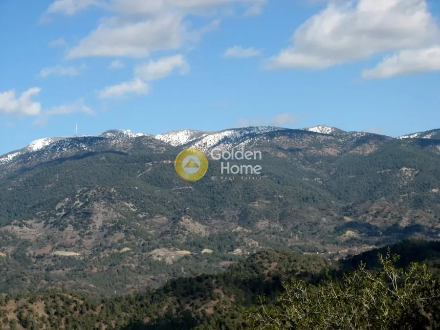 Extensive Land with Forest View in Lemessos