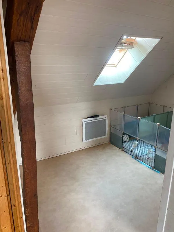 Toad - Duplex Flat with Private Cellar in Pithiviers