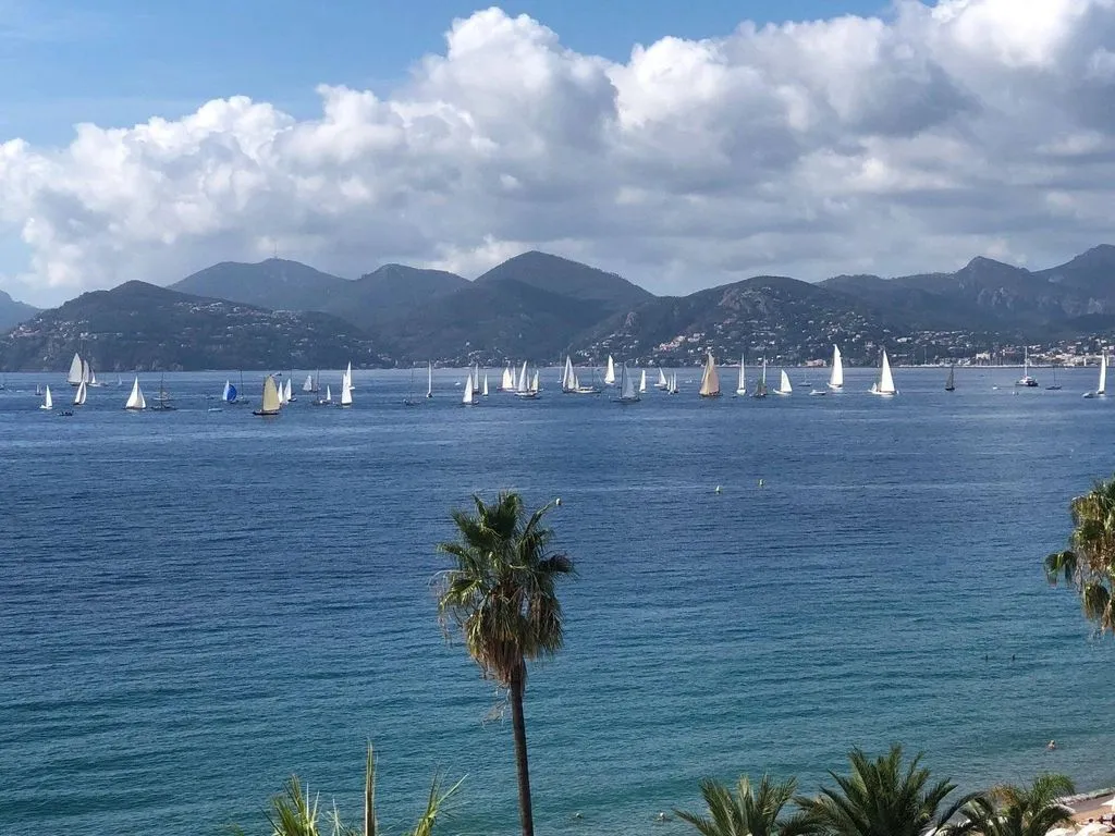 Luxury Flat with Panoramic View in Cannes