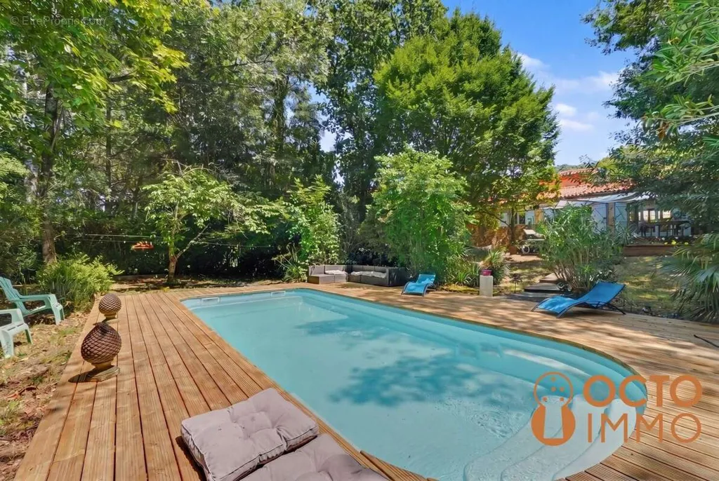 Bassein - Villa with Garden and Pool in Pibrac
