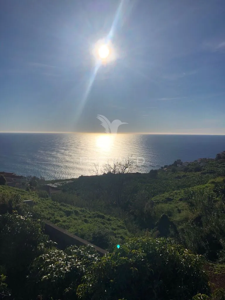 Aed - 3-Bedroom Villa with Pool in Calheta, Madeira