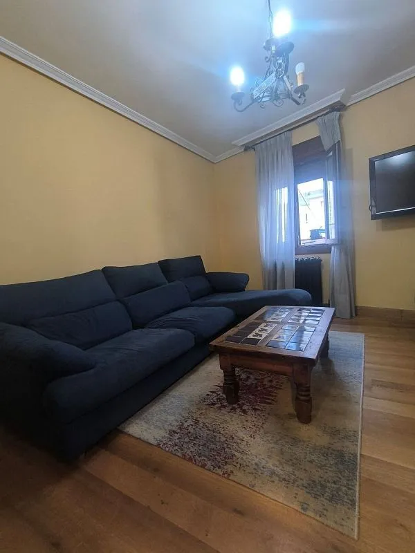 Living Room - Apartment with Ascender in Repeléga Centre