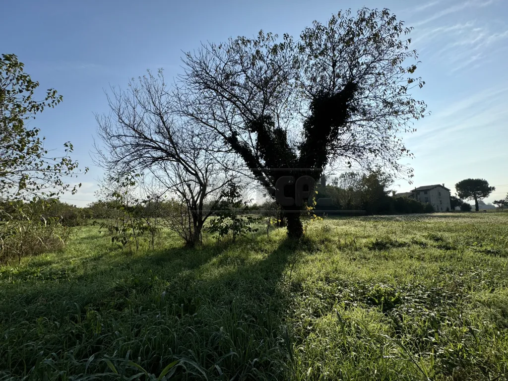 Jardin - Casale with Agricultural Land in Sandrigo