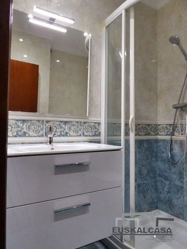 Bathrooms - Furnished Flat with Terrace in Ametzola