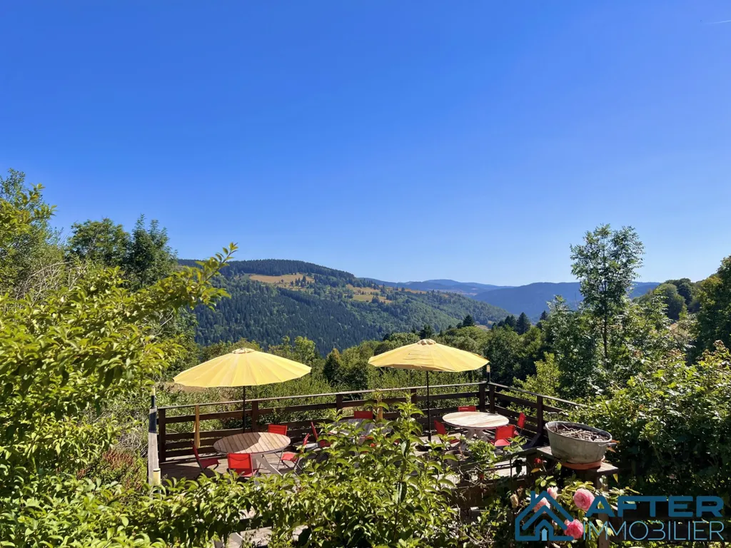 Garden - Furnished House with Mountain View in La Bresse