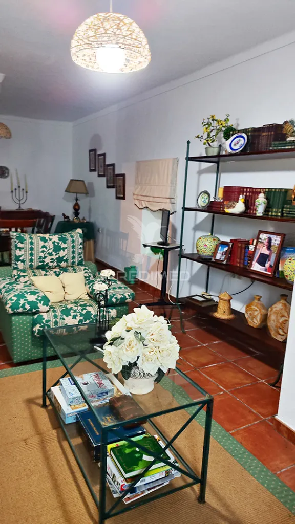 Séjour - Remodelled Quinta with Olive Grove in Avis