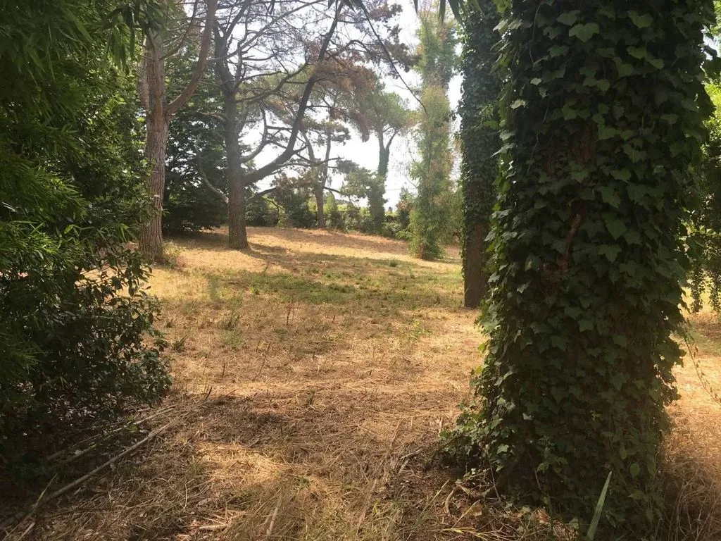 Jardin - Luxury Villa with Large Park in Rome