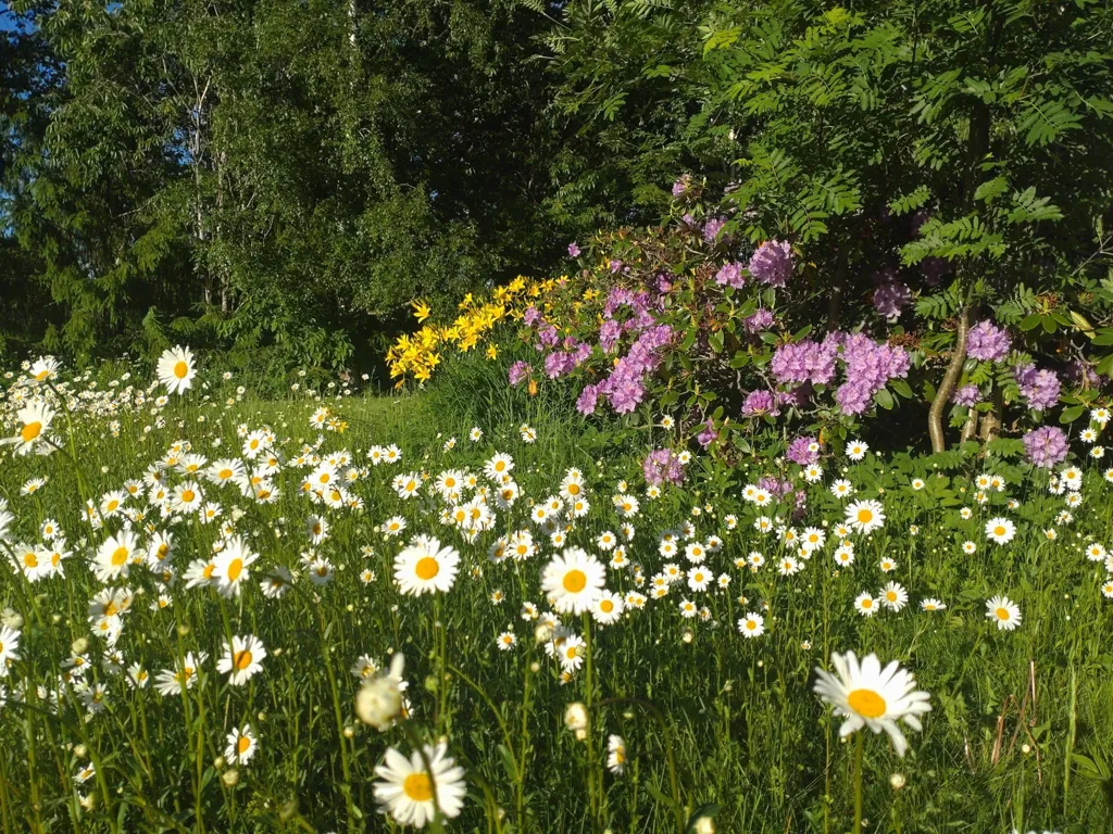 Aed - Charming House with Garden in Laxå