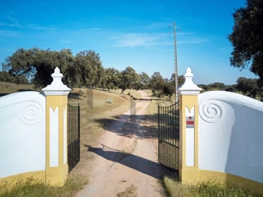 Exterior - Charming Farm with Pool in Monforte, Portalegre