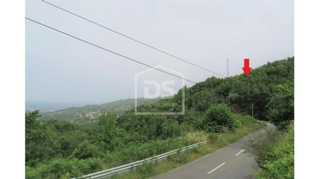 Jardin - Luxury Villa with Solar Panels in Penafiel