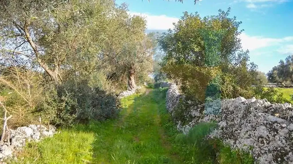 Jardin - Baglio-Style Property with Natural Views in Noto