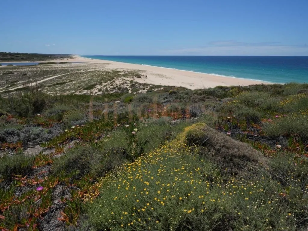 Development Land with Approved PIP in Melides