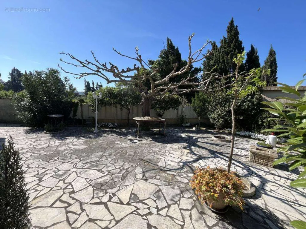 terrace_patio