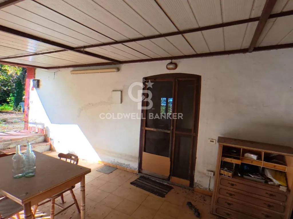 Terrasse - Rustic Estate with Lake in Vinci, Tuscany