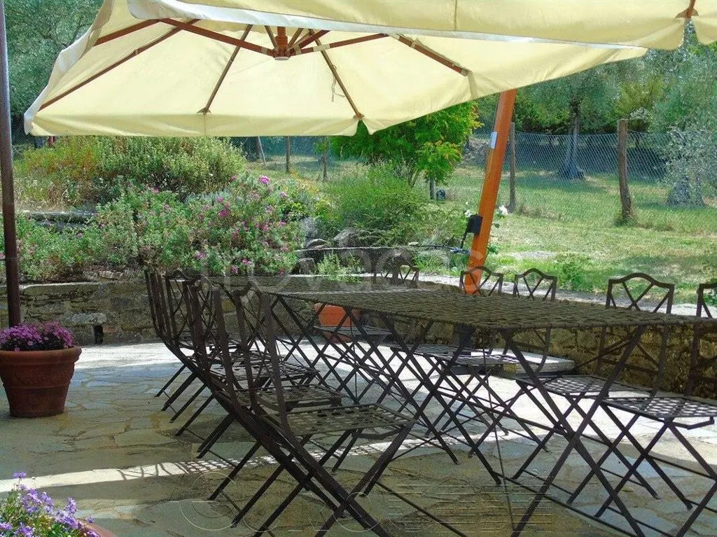 terrace_patio