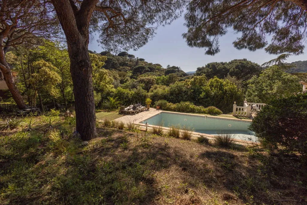 Piscine - Maison avec Piscine et Vue dans un Domaine Sécurisé à La Croix-Valmer