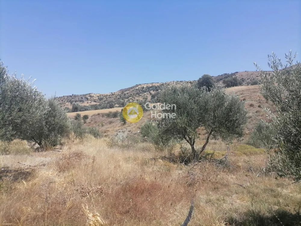 Garden - Buildable Plot with Olive Trees in Phaistos