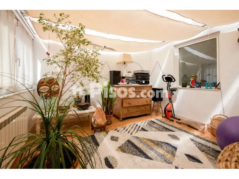 Séjour - Apartment with Architectural Charm in Puerto Chico, Santander