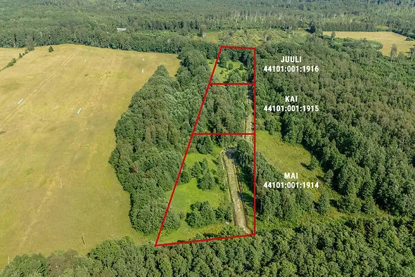 Vue aérienne - Development with Sea View in Paslepa, Lääne-Nigula