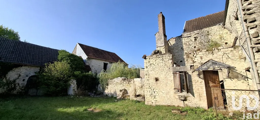 Giardino - Restoration Barn with Garden in Essoyes