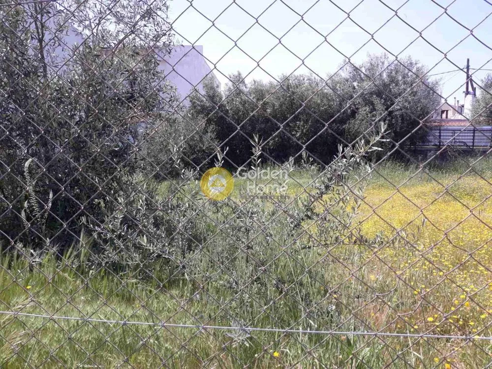 Aed - Plot with Sea View in Acharnes Menidi - Boksi