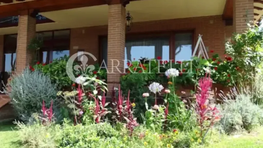 terrace_patio