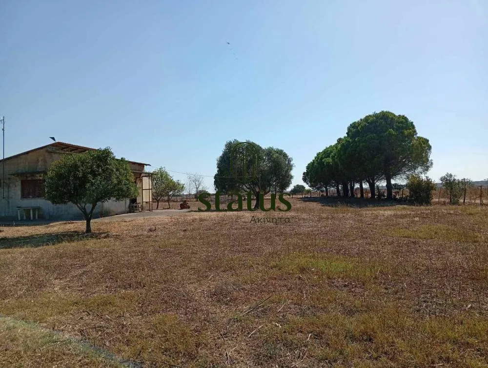 Aed - Four-Faced Plot with Sea Proximity in Kalogria