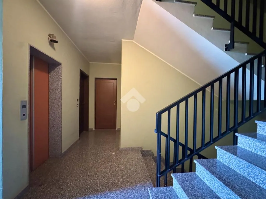 Toad - Apartment with Terraces in Alghero
