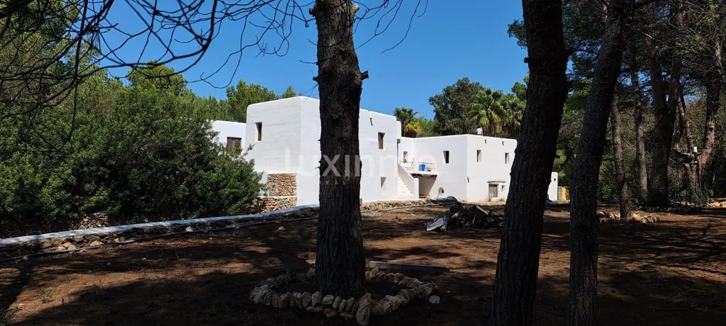 Välivaade - Traditional Finca with Forest View in Santa Eulalia